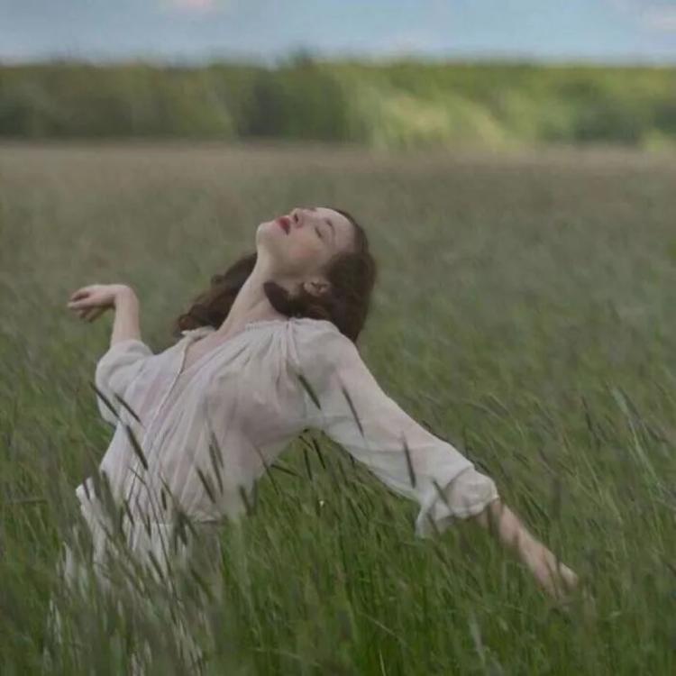 小森林素材铺 第154张.jpg