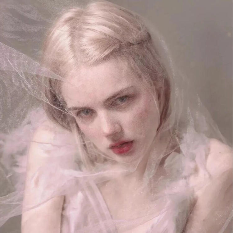 小森林素材铺 第155张.jpg