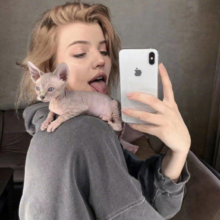 1775317746807574.jpg 小森林素材铺 第166张.jpg