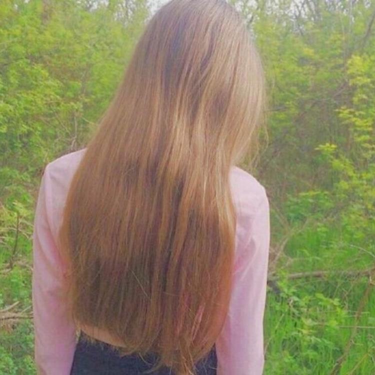 小森林素材铺 第190张.jpg